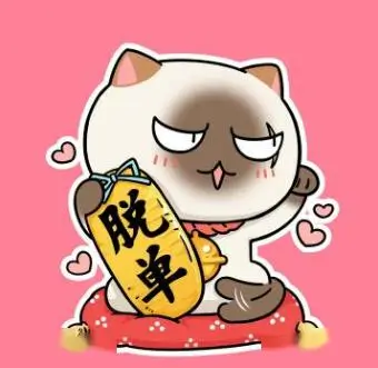 用户解剖台边的猫头像